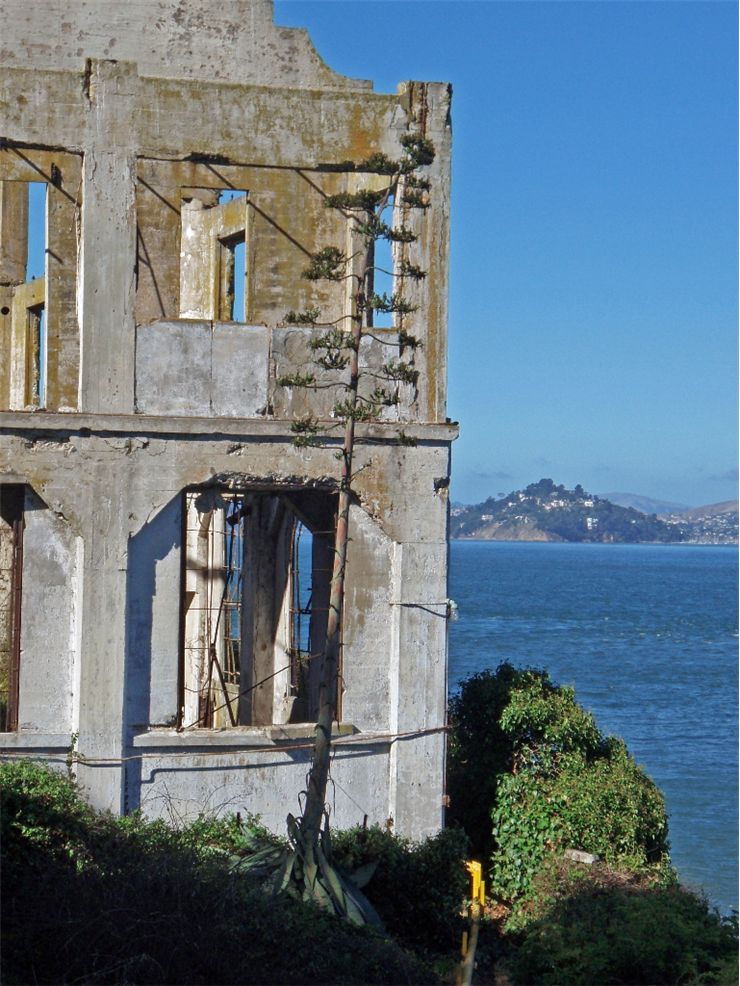 Picture Of Alcatraz At Close