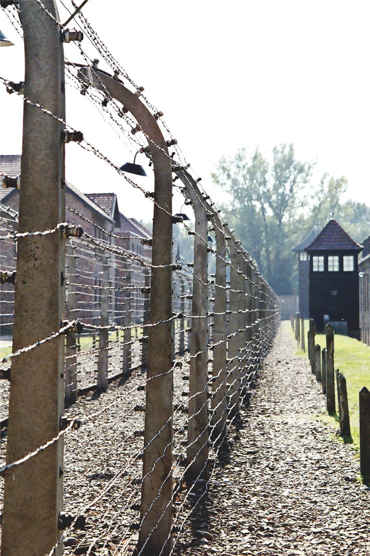 Picture Of Auschwitz Birkenau Prison Camps