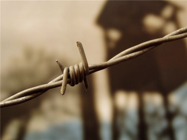Picture Of Prison Captive Wire